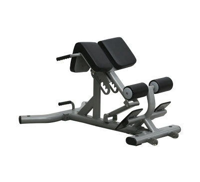 Back Extension Trainer Free Weight Benches and Racks