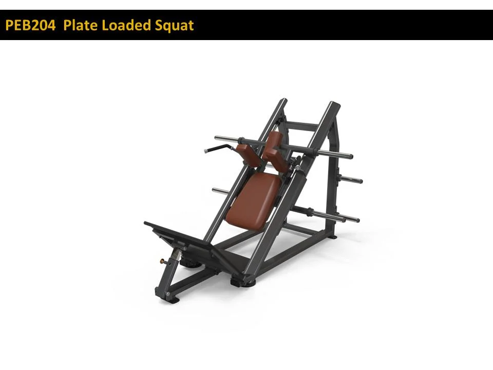 Commerical Strength Plate Loaded Machine Free Weight Hack Squat