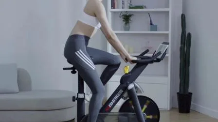 Neuankömmling Spin Heimtrainer Heimgebrauch Spinning Bike